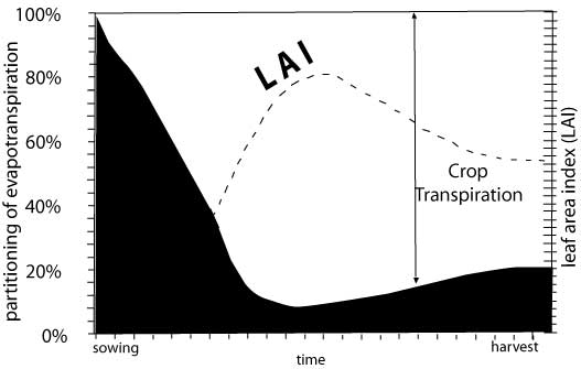 Image:graph1.jpg